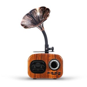 Enceinte design vintage