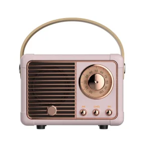 Enceinte Qui Vibre Vintage